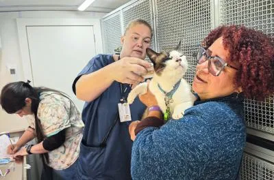 Unidade Móvel de Saúde Animal oferece atendimento gratuito no bairro Bom Jesus, em Porto Alegre.